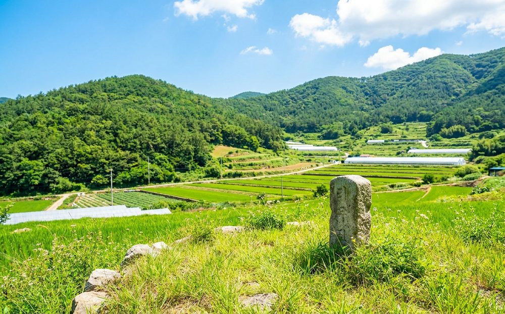 기장군 · 상속세 상담사례